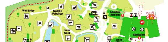explore-the-zoo-blackpool-zoo