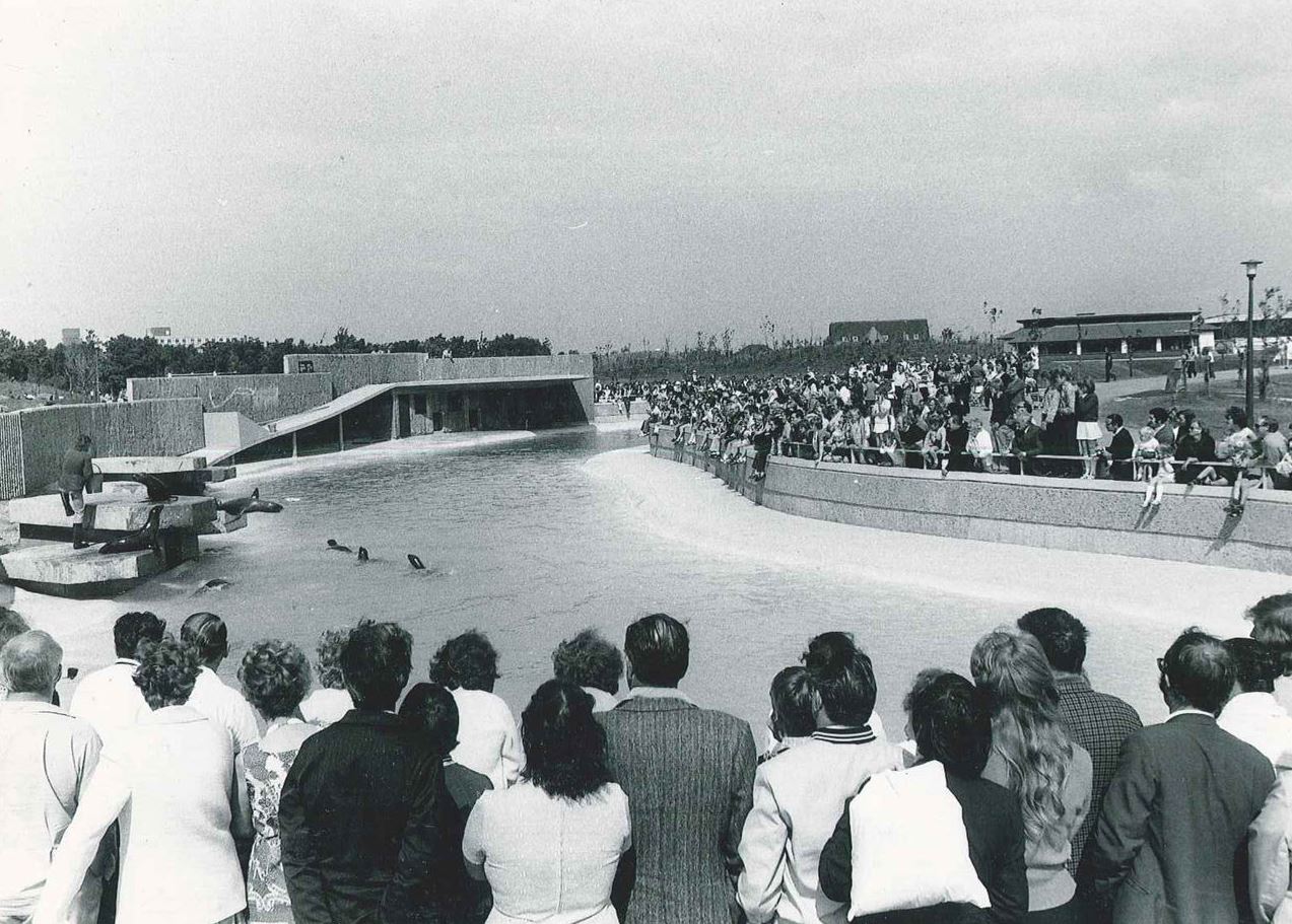 Old Sea Lion Pool