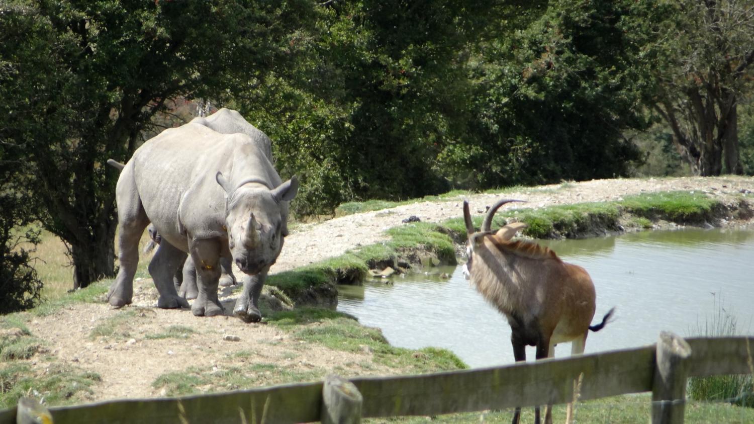 list of uk safari parks