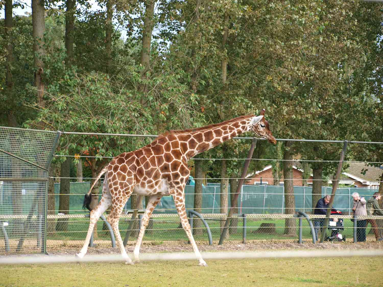 biggest safari zoo in uk