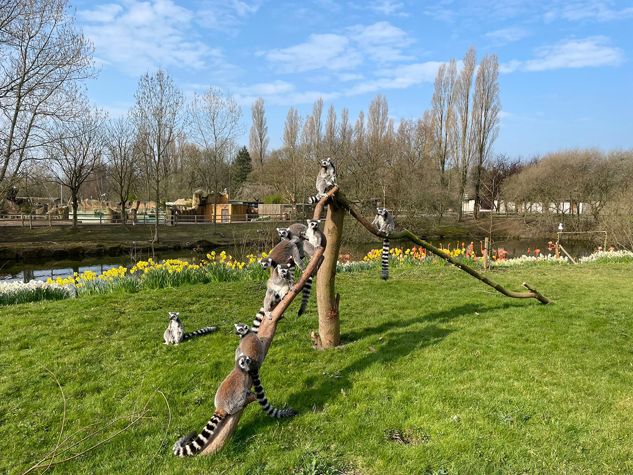 Easter at Blackpool Zoo