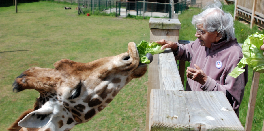 February half-term family fun at the zoo