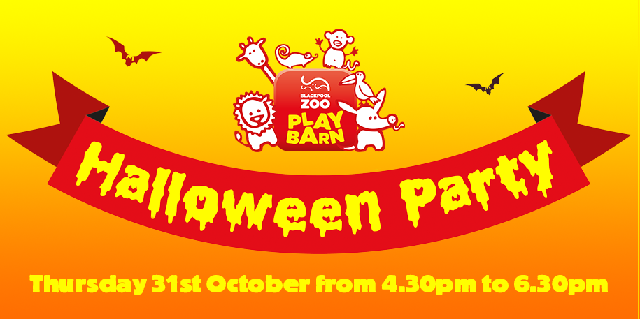 Join us in the Playbarn this Halloween!
