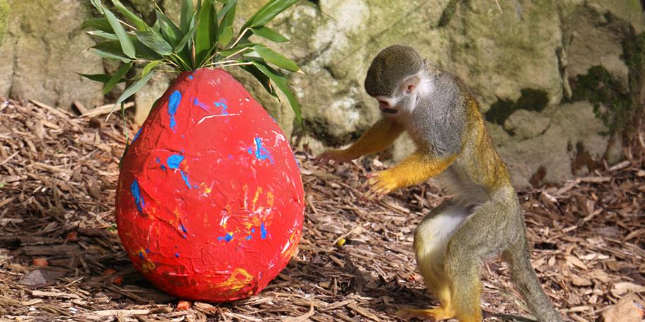 Egg-citing activities this Easter!