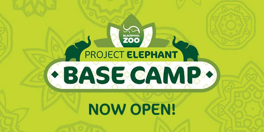 Doors open on Project Elephant Base Camp