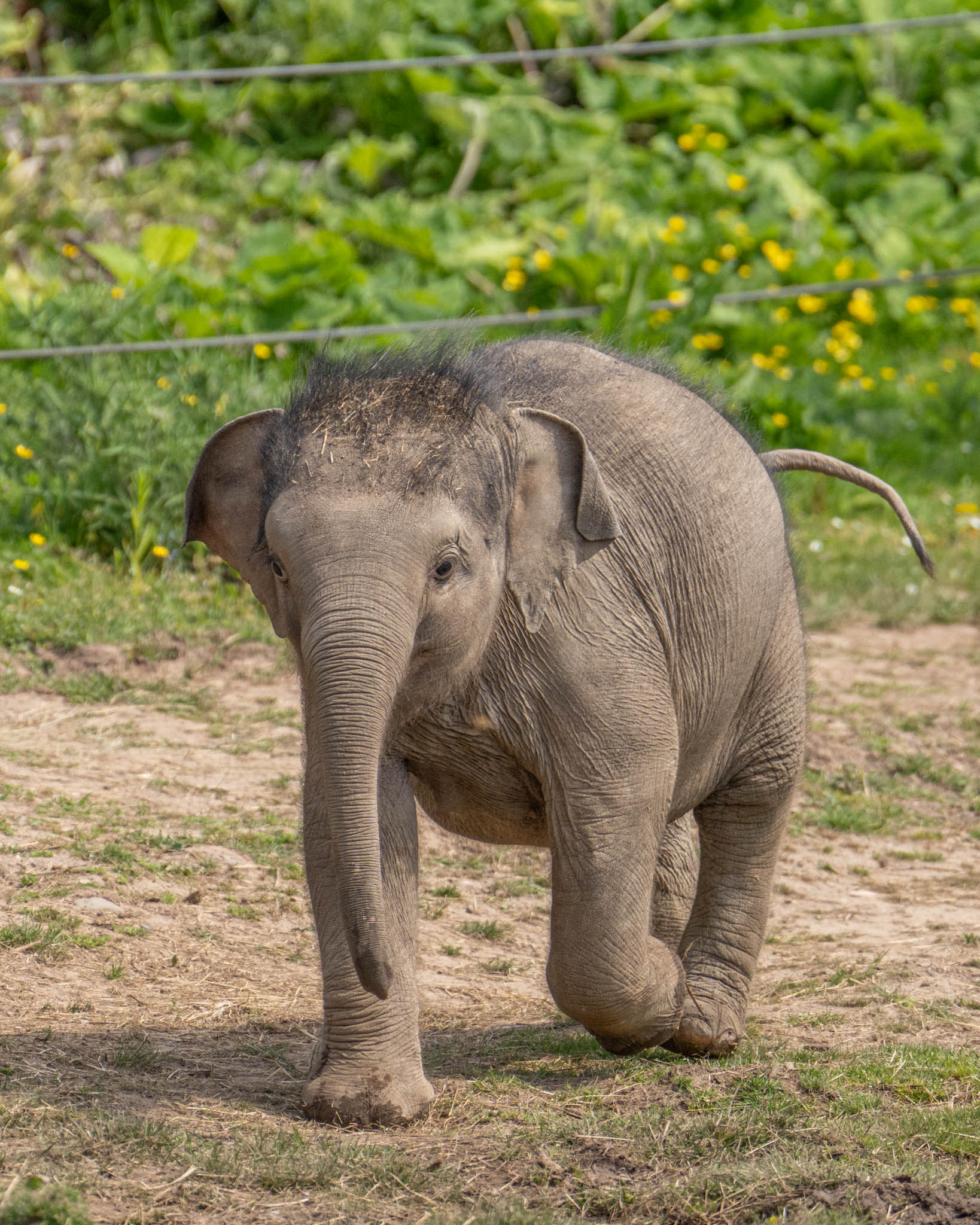 Hero Blackpool ZOO 