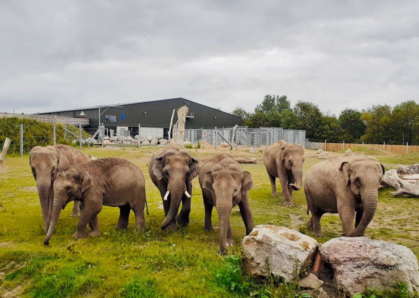 Blackpool Zoo - Over 1,500 exotic animals (Lancashire, UK)